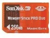 SanDisk SDMSG-256-A10 Support Question