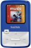 SanDisk SDMX22-004G-A57B New Review