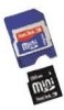 Get support for SanDisk SDSDM-256-A10 - Mini SD Flash Memory Card