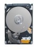 Seagate ST9160319AS Support Question
