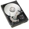 Get support for Seagate ST31000340AS - 1TB SATA/300 7200RPM 32MB Hard Drive
