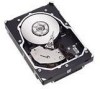 Troubleshooting, manuals and help for Seagate ST3146854FC - Cheetah 146.8 GB Hard Drive