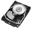 Troubleshooting, manuals and help for Seagate ST3146855SS - Cheetah 146.8 GB Hard Drive