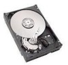 Seagate ST320011A New Review