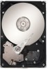 Seagate ST3250310SV New Review