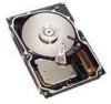 Troubleshooting, manuals and help for Seagate ST336607LC - Cheetah 36.7 GB Hard Drive