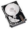 Troubleshooting, manuals and help for Seagate ST336704LW - Cheetah 36.7 GB Hard Drive