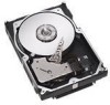 Troubleshooting, manuals and help for Seagate ST336807FC - Cheetah 36 GB Hard Drive
