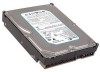 Get support for Seagate ST3500830A - 500GB UDMA/100 7200RPM 8MB IDE Hard Drive