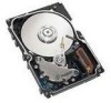 Troubleshooting, manuals and help for Seagate ST373405LW - Cheetah 73.4 GB Hard Drive