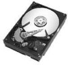 Seagate ST380012ACE New Review