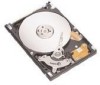 Troubleshooting, manuals and help for Seagate ST9100824A - Momentus 5400.2 100 GB Hard Drive