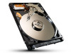 Get support for Seagate STAN500100