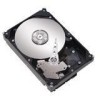 Get support for Seagate STM3160215AS - Maxtor DiamondMax 160 GB Hard Drive