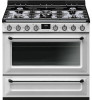Troubleshooting, manuals and help for Smeg TRU36GMWH