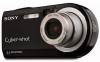 Get support for Sony DSC-P120