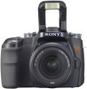 Get support for Sony DSLR-A100W