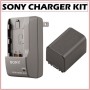 Get support for Sony NPFH70