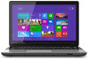 Toshiba L45t-A4230NR New Review