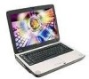 Toshiba A75 S213 New Review