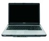 Troubleshooting, manuals and help for Toshiba L355D S7825 - Satellite - Turion 64 X2 2 GHz