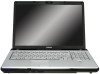 Troubleshooting, manuals and help for Toshiba PSPBLU-00T009