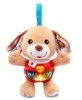 Vtech Cuddle & Sing Puppy Support Question