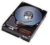 Troubleshooting, manuals and help for Western Digital AC29100 - Expert 9.1 GB Hard Drive