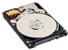 Get support for Western Digital WD1000BEVS - Scorpio 100 GB Hard Drive