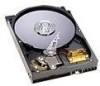 Troubleshooting, manuals and help for Western Digital WD2000AB - Protégé 200 GB Hard Drive