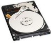 Troubleshooting, manuals and help for Western Digital WD3200BEVT - Scorpio 320 GB Hard Drive
