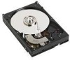 Get support for Western Digital WD3200SD - RE 320 GB Hard Drive