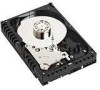 Troubleshooting, manuals and help for Western Digital WD360ADFD - Raptor 36 GB Hard Drive