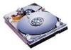 Troubleshooting, manuals and help for Western Digital WD75DA - Caviar 7.5 GB Hard Drive