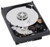 Troubleshooting, manuals and help for Western Digital WD800AVJS - AV 80 GB Hard Drive