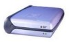 Troubleshooting, manuals and help for Western Digital WD800B002-RNN - FireWire Hard Drive 80 GB External