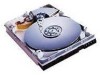 Troubleshooting, manuals and help for Western Digital WDAC21200 - Caviar 1.2 GB Hard Drive