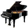 Yamaha DS6M4PROB New Review
