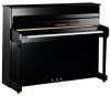 Get support for Yamaha P114-SG